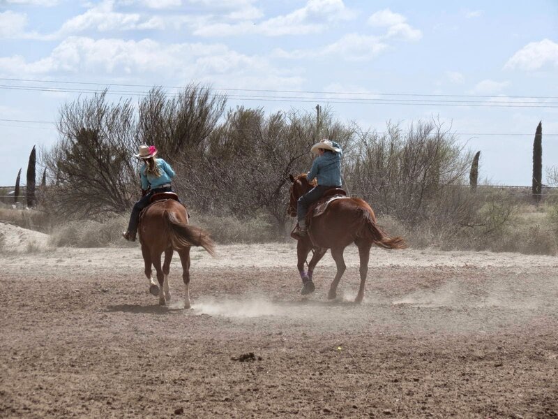Two People Riding Horses — Brown