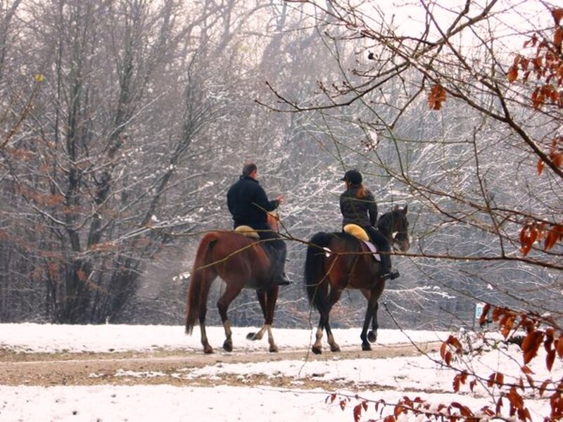 Two People Riding Horses