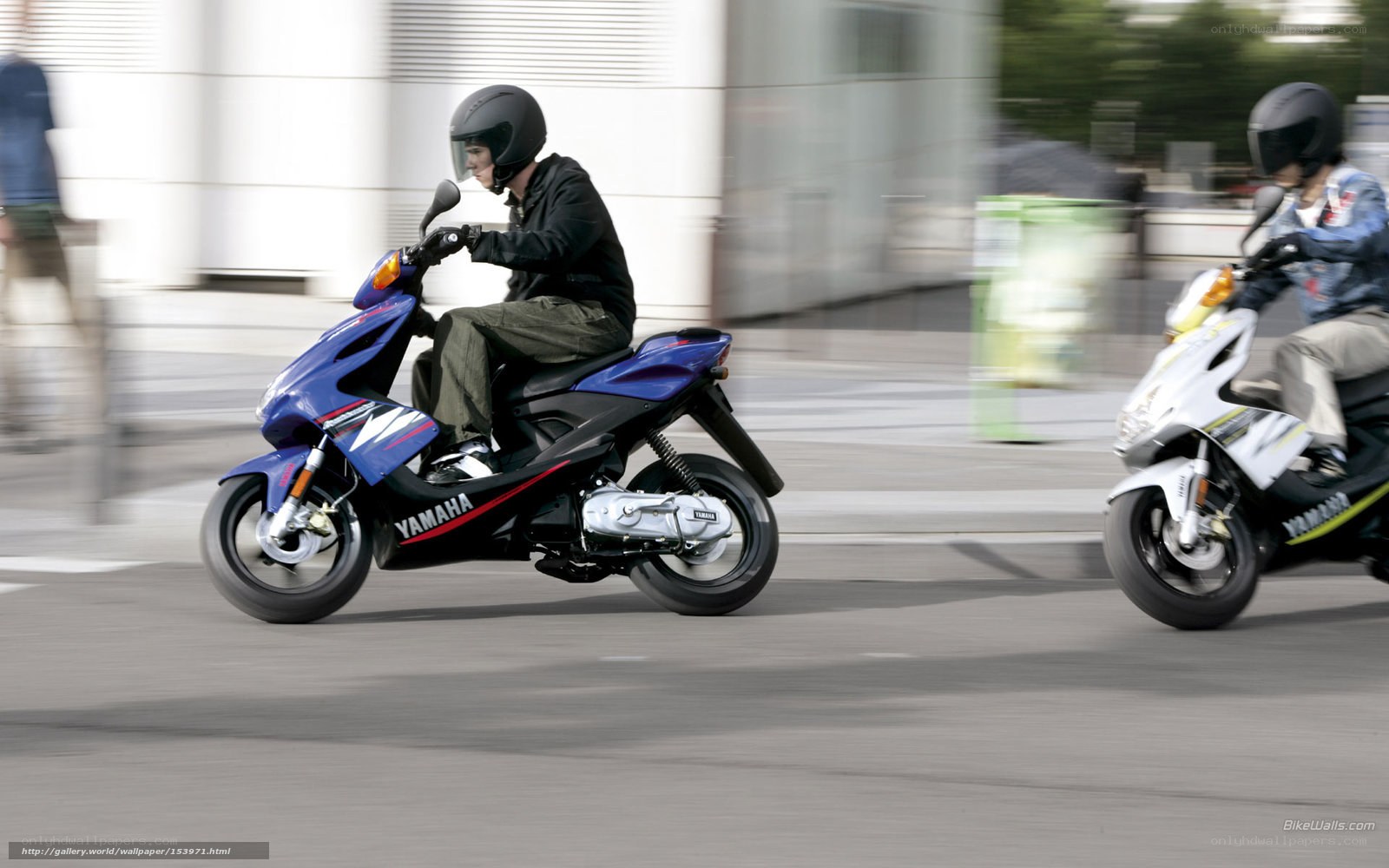 Two people riding scooters