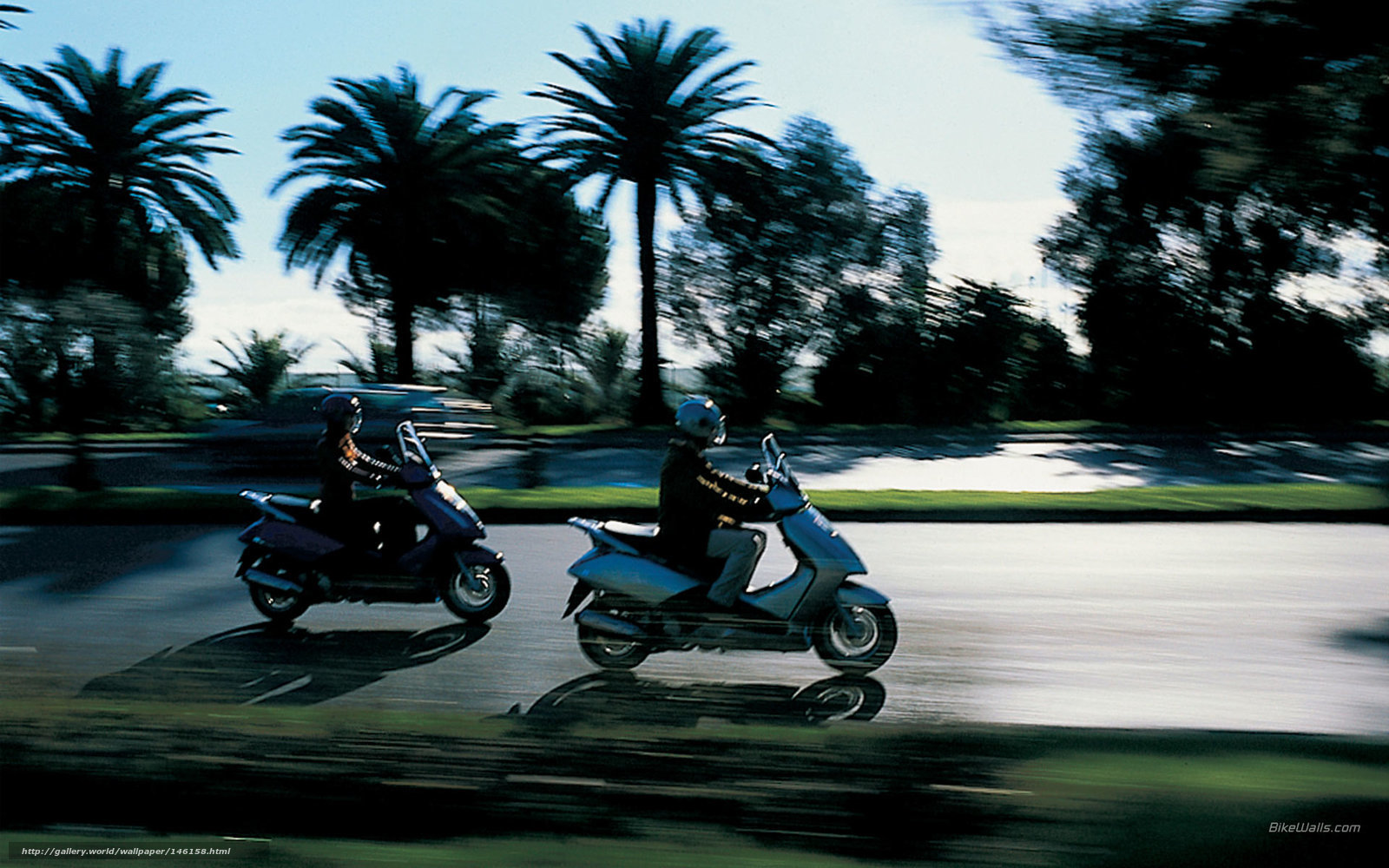 Two people riding scooters
