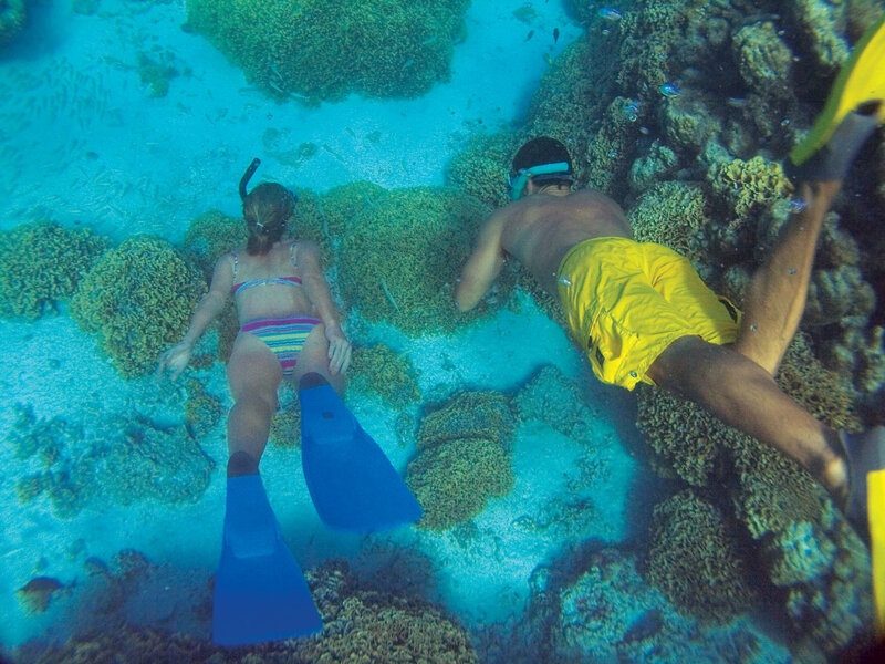 Two People Snorkeling — Blue