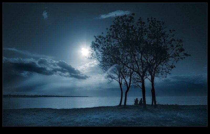 Two People under Trees