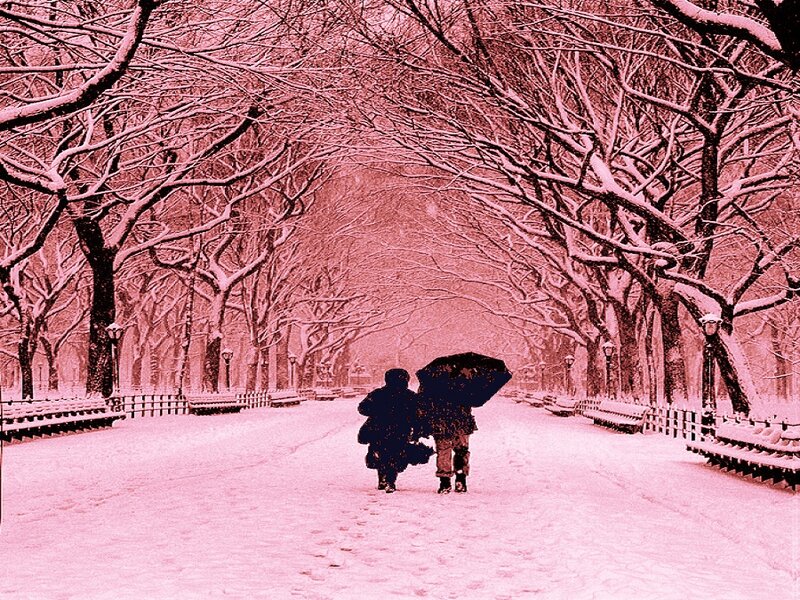 Two People under Umbrella — Pink