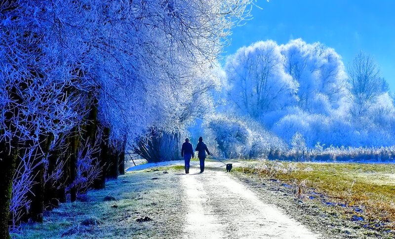 Two People Walking Dog — Blue