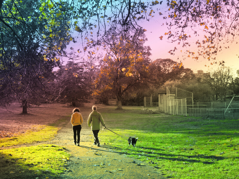 Two People Walking Dog