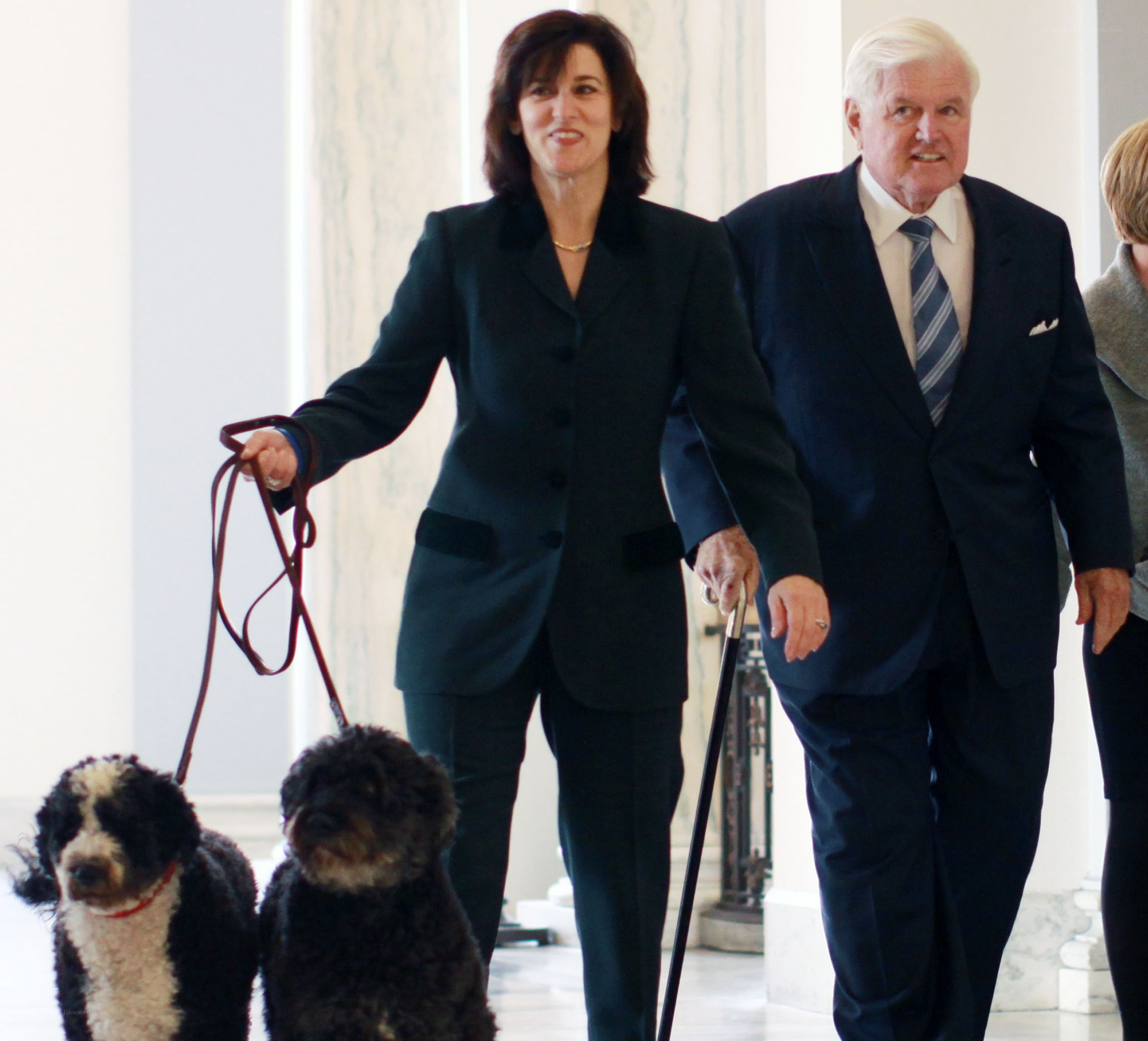 Two people walking dogs indoors