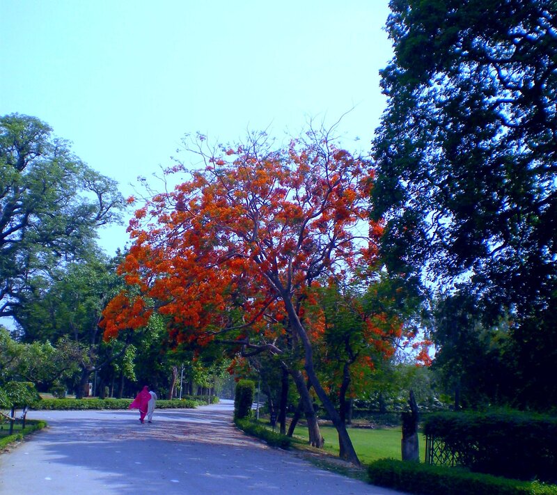 Two People Walking — Green