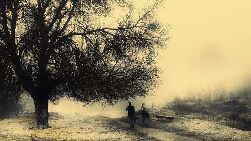 Two people walking in fog
