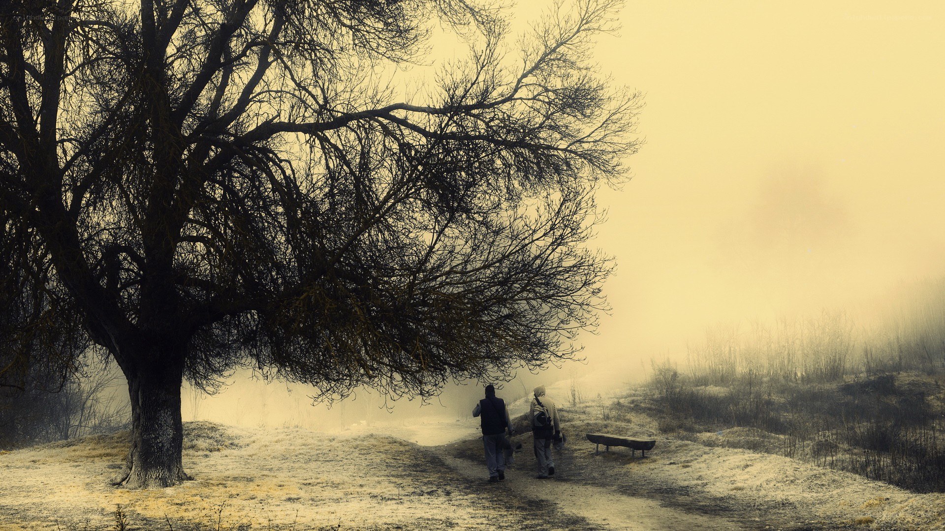 Two people walking in fog