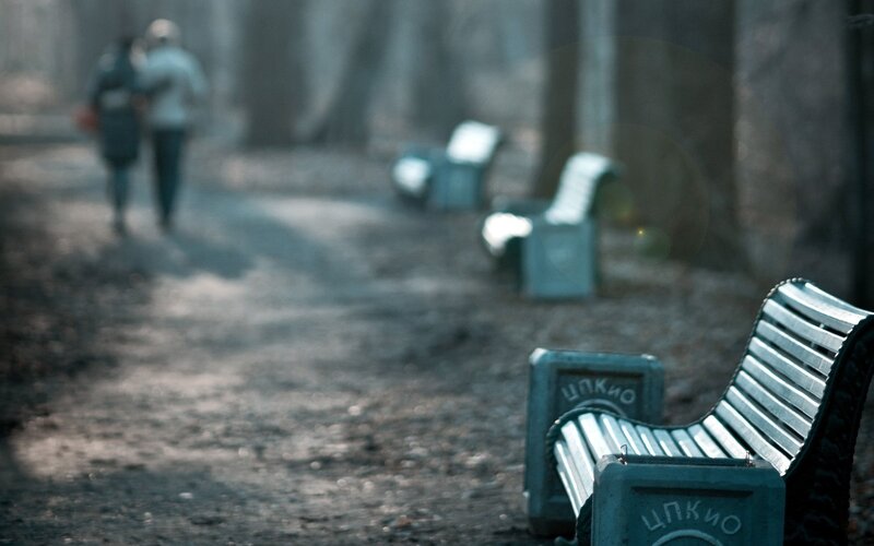 Two People Walking in Park — Gray