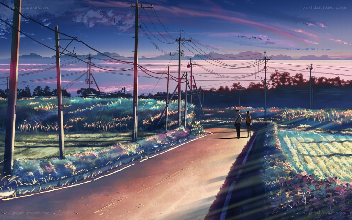 Two people walking on a rural road