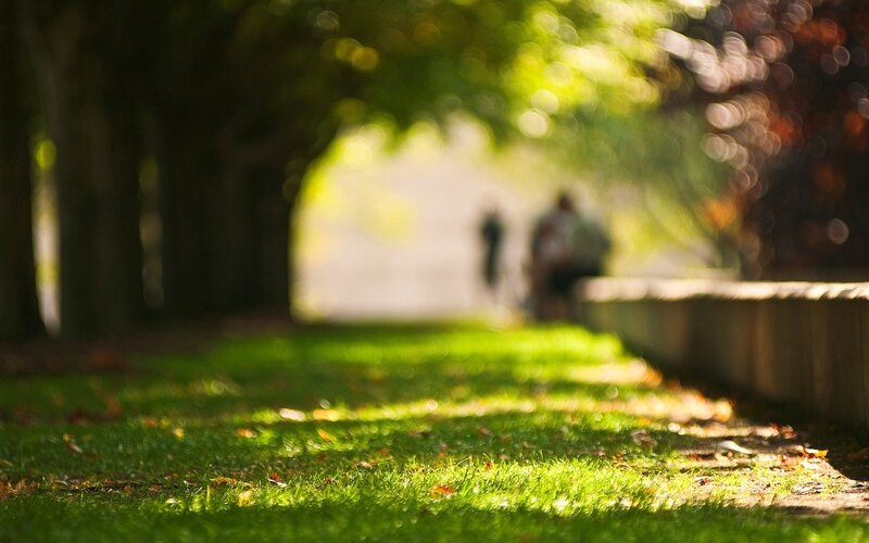 Two People Walking on Path — Green