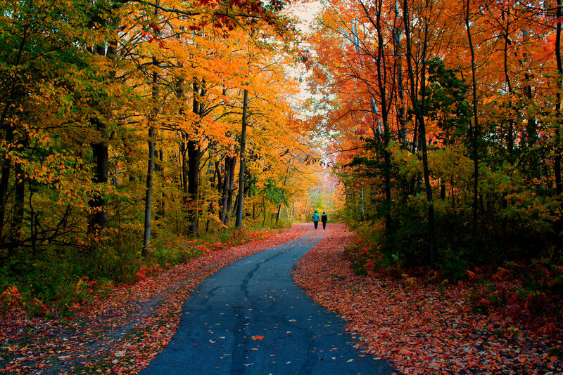 Two People Walking on Path — Orange