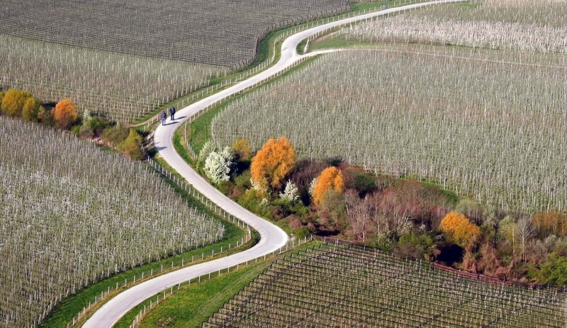 Two People Walking on Road