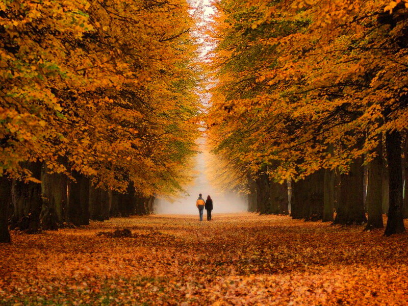 Two People Walking — Orange