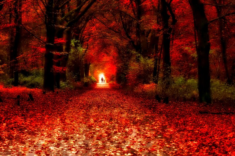 Two People Walking — Red, Dramatic
