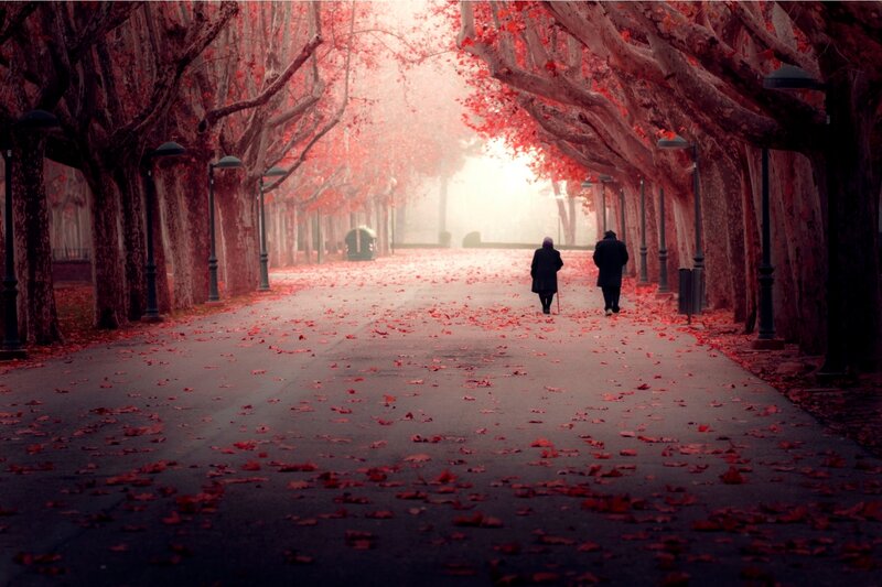 Two People Walking — Red, Serene