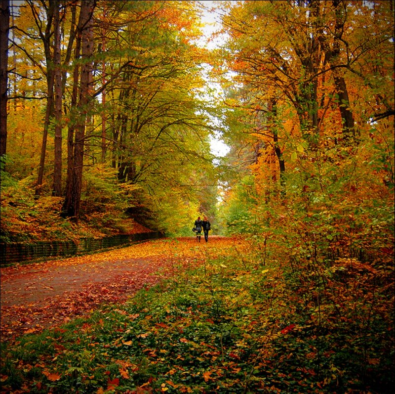 Two People Walking — Yellow