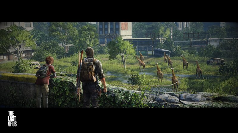 Two People Watching Giraffes