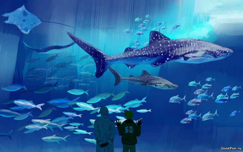 Two People Watching Sharks