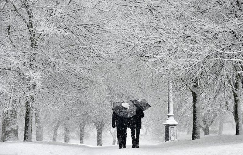 Two People with Umbrellas — Black, Cold