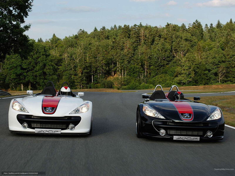 Two Peugeot 20Cup race cars