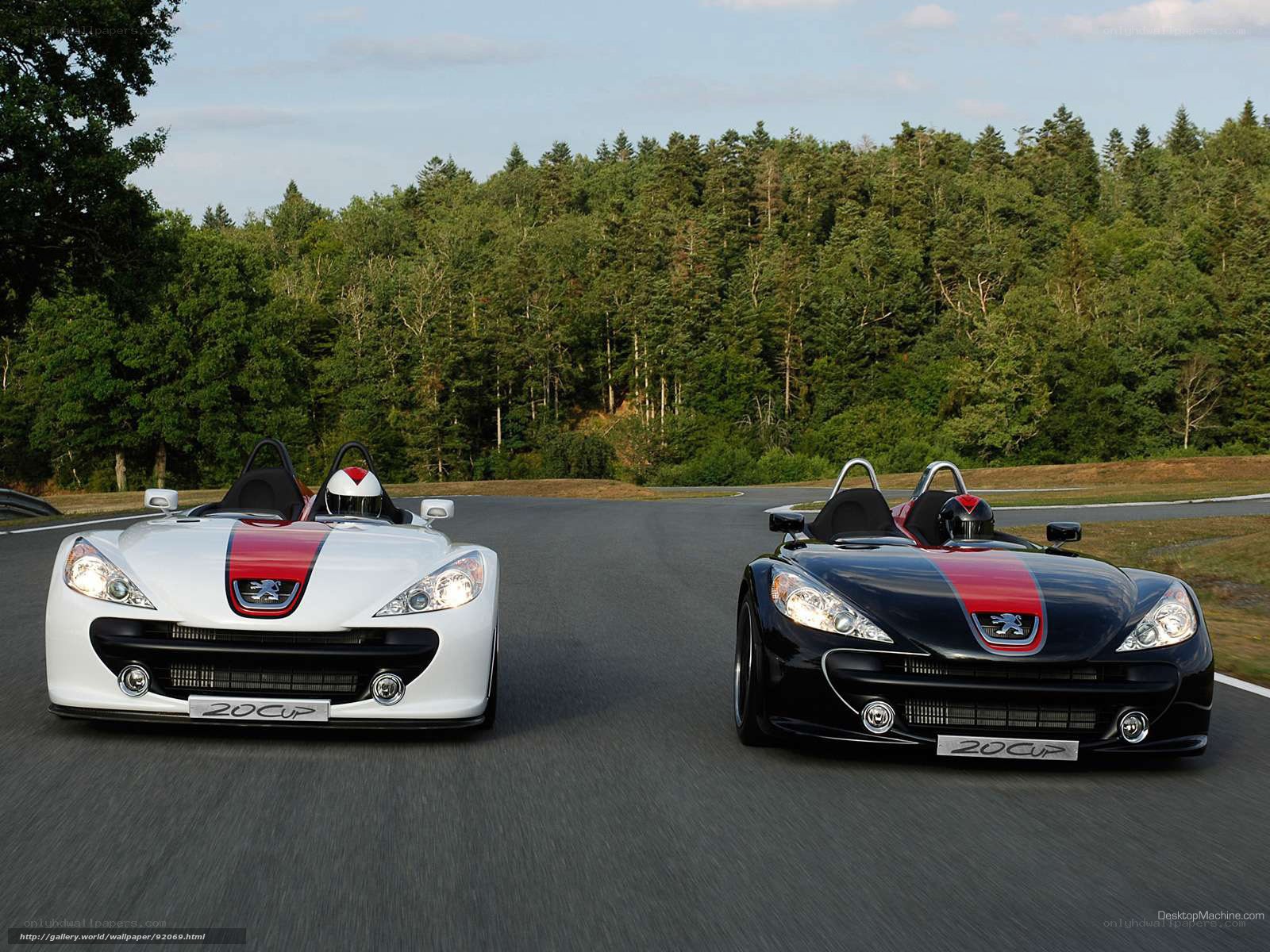 Two Peugeot 20Cup race cars