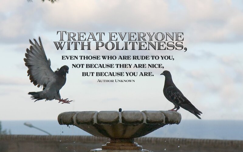 Two Pigeons on Fountain