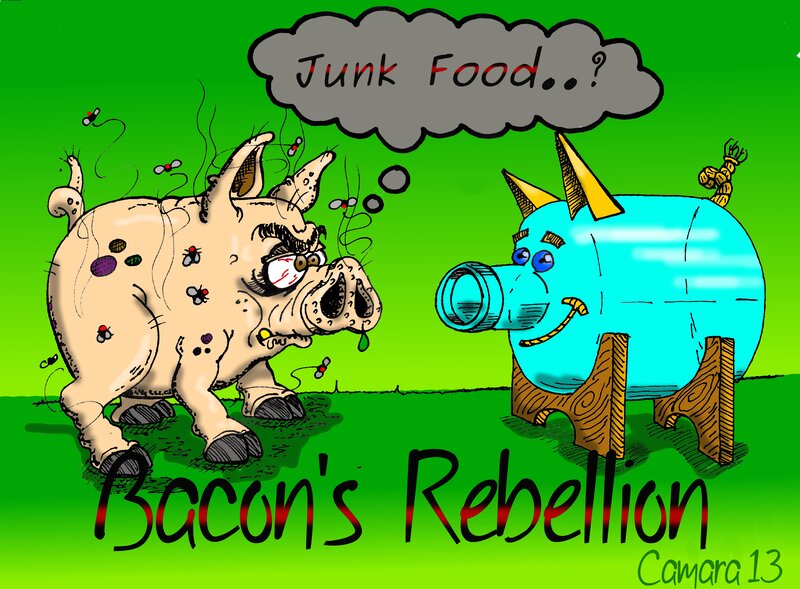 Two Pigs in a Field