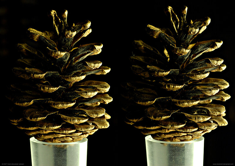Two pine cones on stands