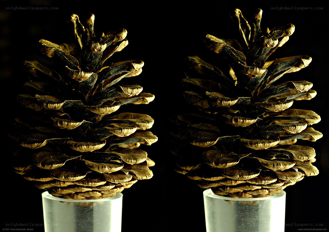 Two pine cones on stands