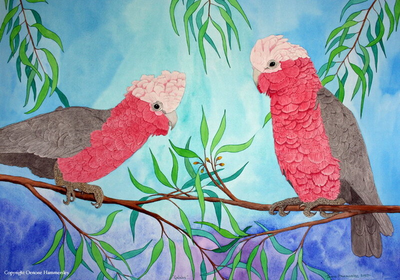 Two Pink Cockatoos — Calm