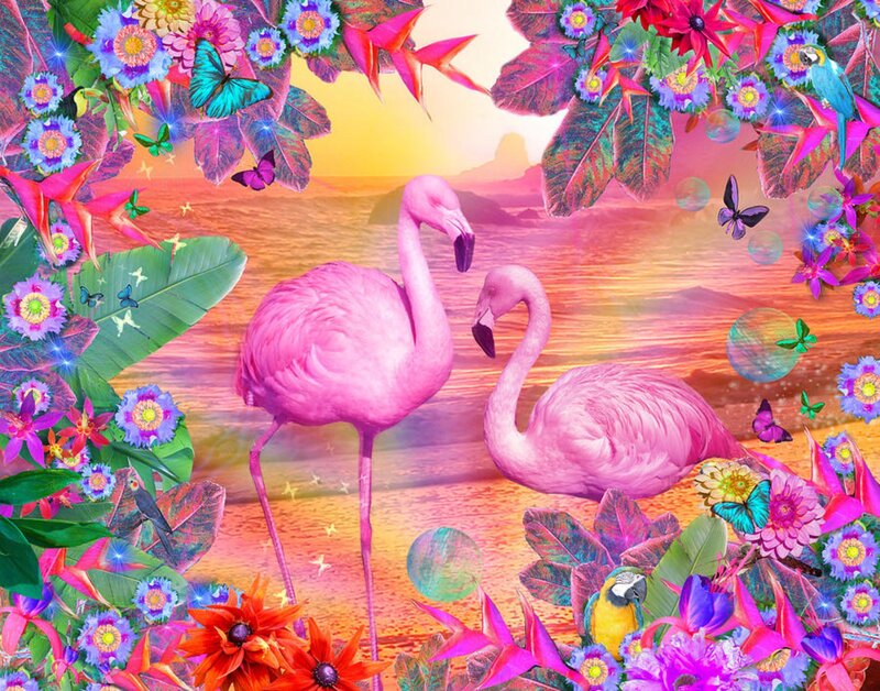 Two Pink Flamingos — Vibrant