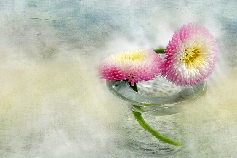 Two Pink Flowers — Serene, Painting