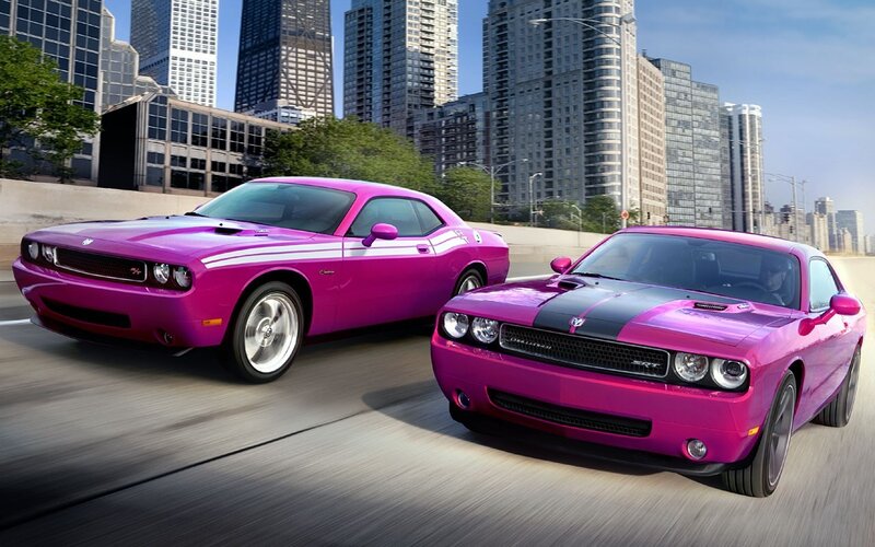 Two pink muscle cars on city road