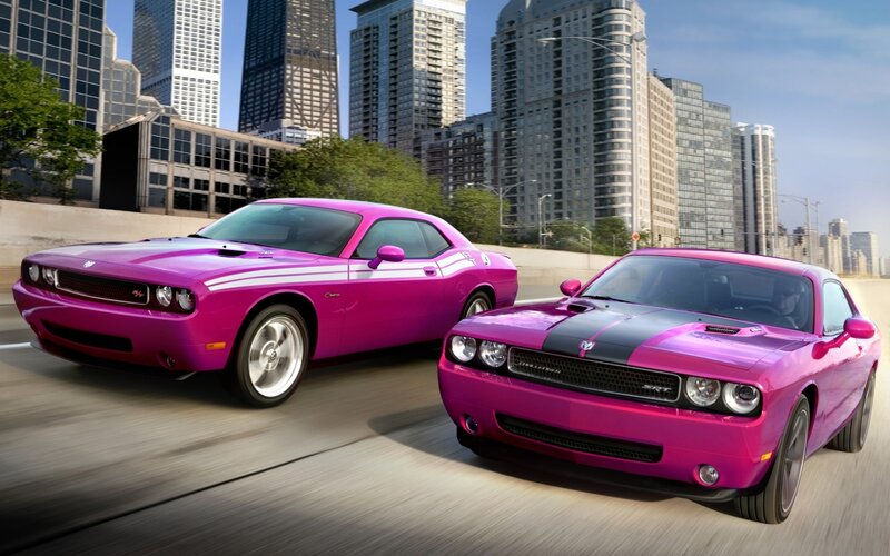 Two Pink Muscle Cars