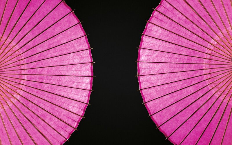 Two pink parasols against black