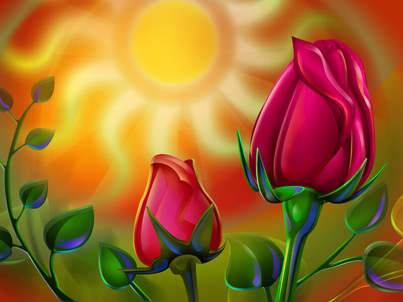 Two Pink Rose Buds — Vibrant