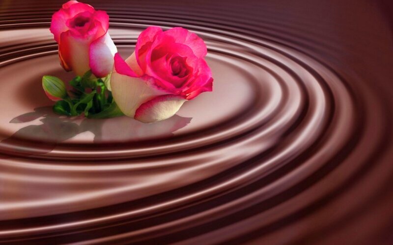 Two Pink Roses — Brown, Serene