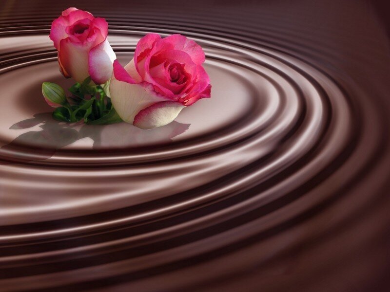 Two Pink Roses — Brown