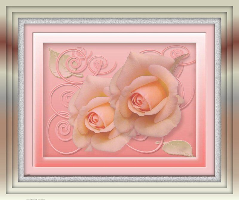 Two Pink Roses — Calm, Digital Art