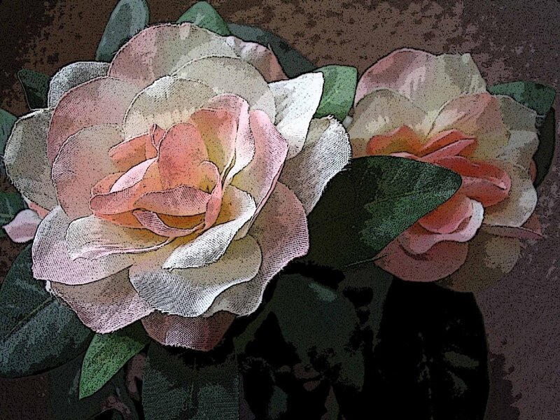 Two Pink Roses — Calm, Illustration, Leaves