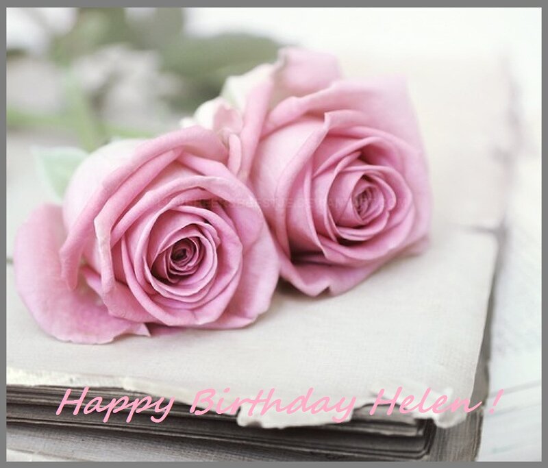 Two Pink Roses — Calm, Photograph, Book