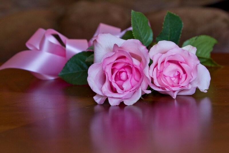 Two Pink Roses — Calm, Photograph, Pink Ribbon