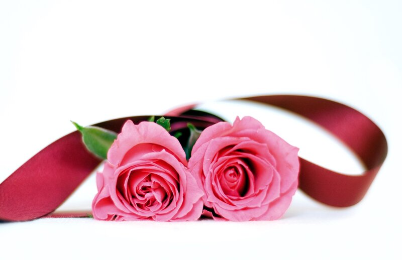 Two Pink Roses — Calm, Photograph, Ribbon, Green Leaves
