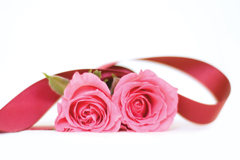Two Pink Roses — Calm, Photograph, Ribbon