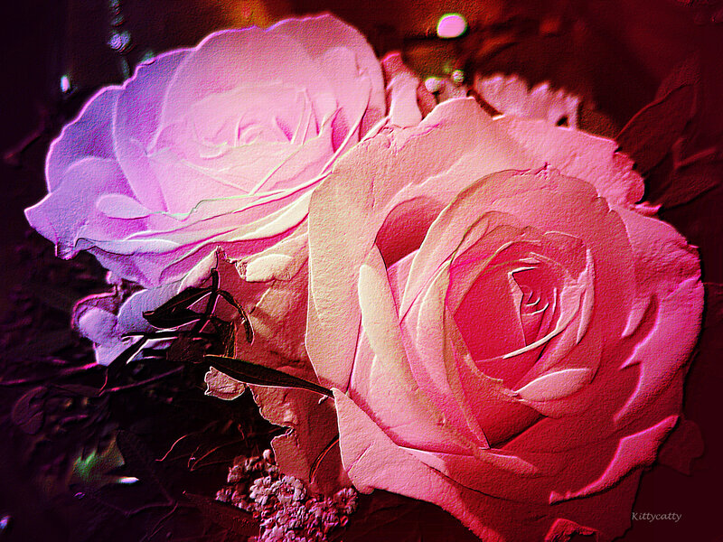 Two Pink Roses — Dramatic, Digital Art