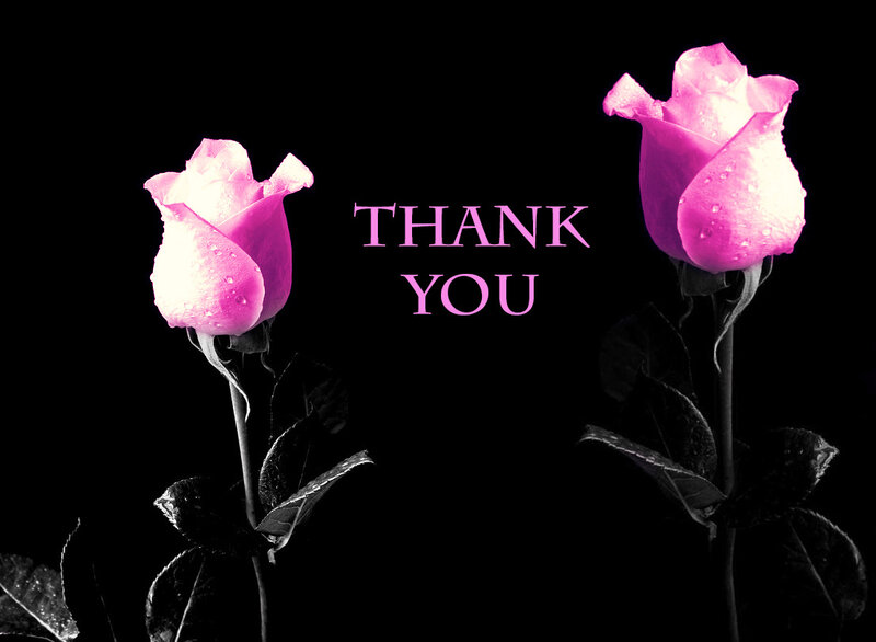 Two Pink Roses — Dramatic, Photograph, Rose