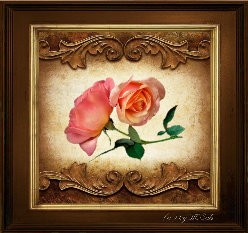 Two Pink Roses — Elegant