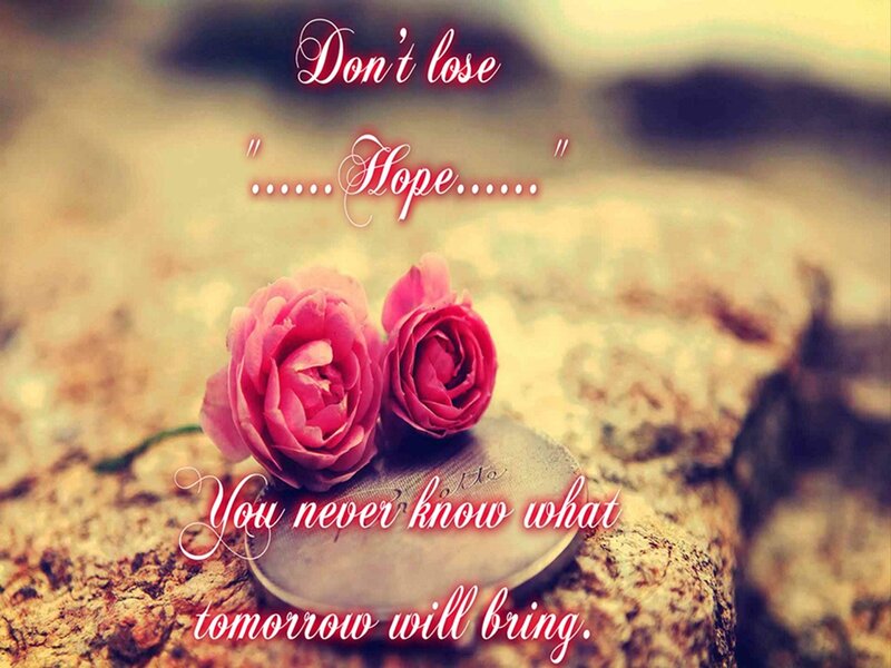 Two Pink Roses — Hopeful